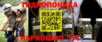 гидропоника Балахна