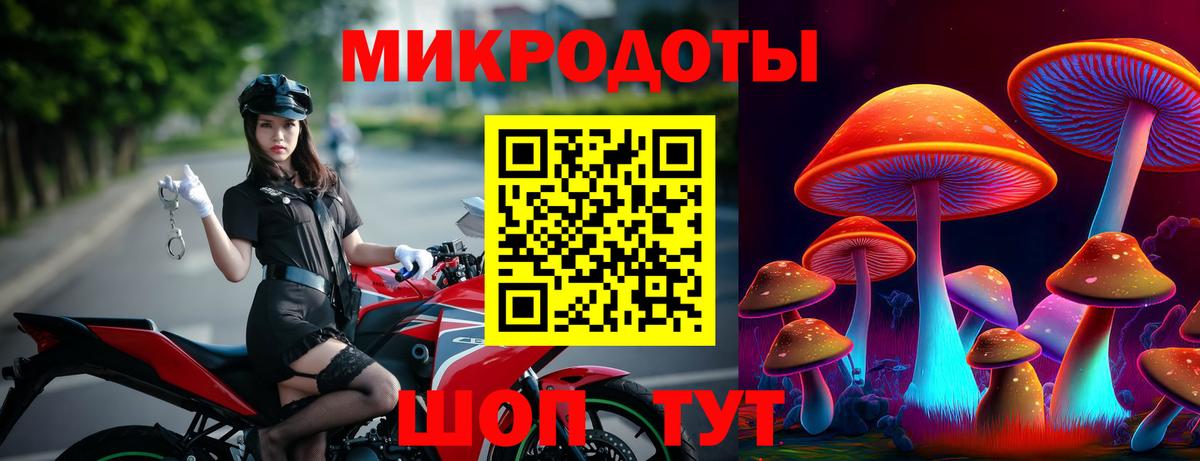 Галлюциногенные грибы MAGIC MUSHROOMS Гусь-Хрустальный